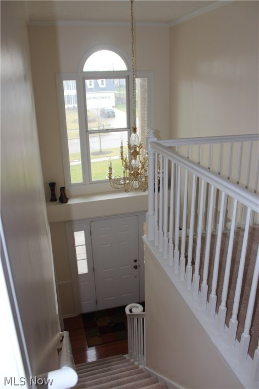 Ethans Green - Residential