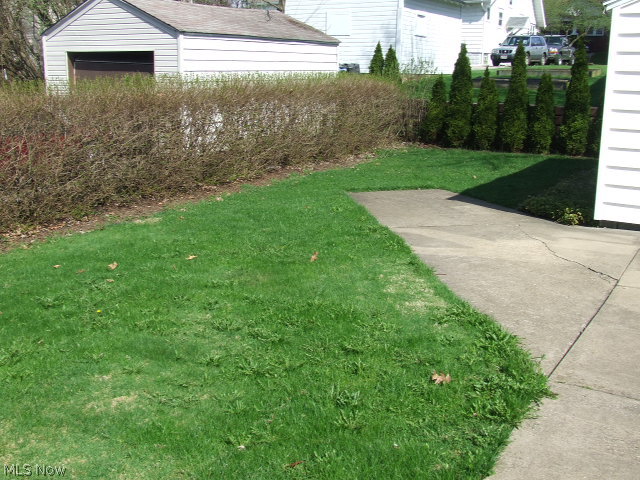 Belle Terrace - Residential