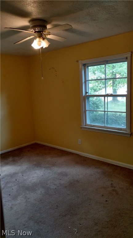 Louis Millers Mastick Road Garden - Residential