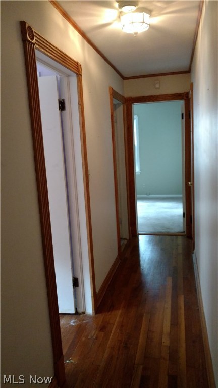 Louis Millers Mastick Road Garden - Residential