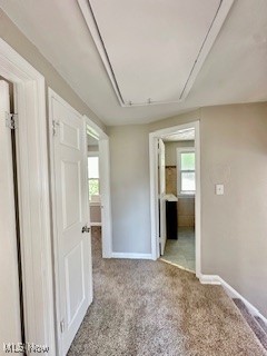 Maple Heights - Residential