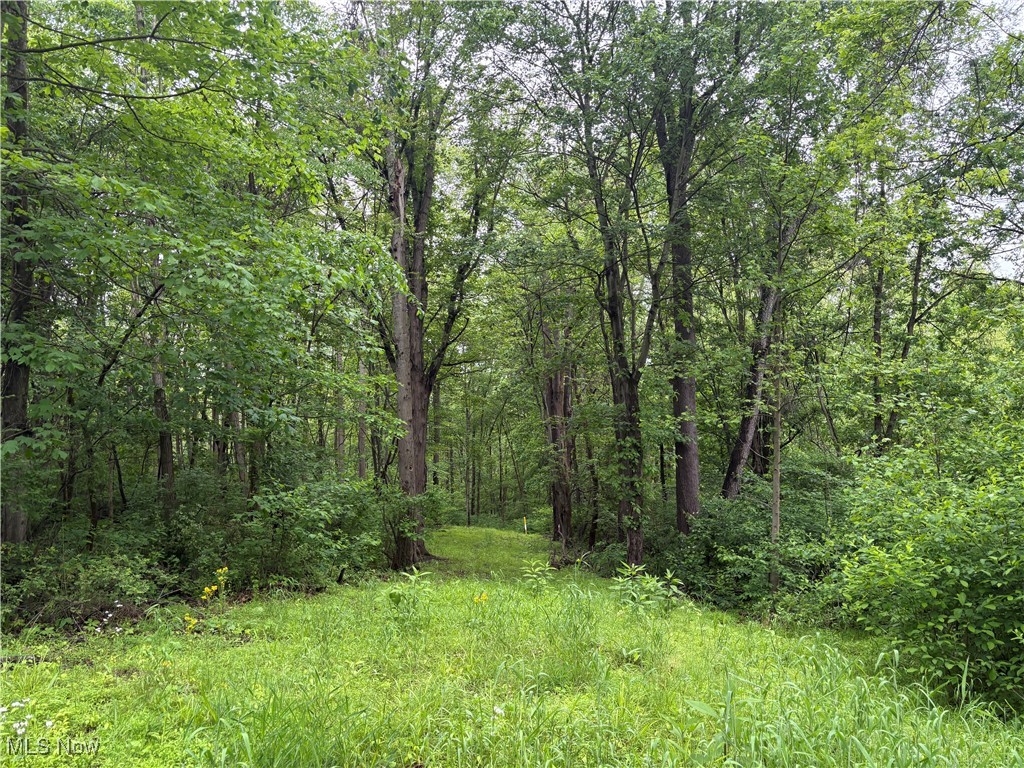 Dennis Road, Zanesville, Ohio image 10