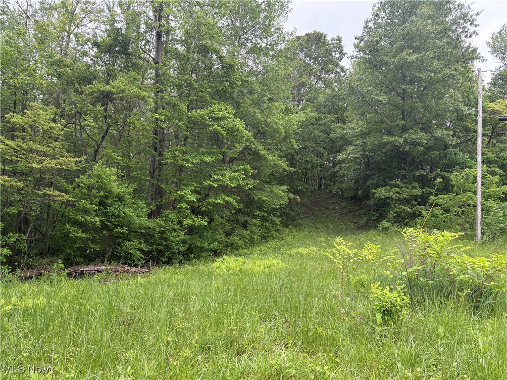 Dennis Road, Zanesville, Ohio image 1