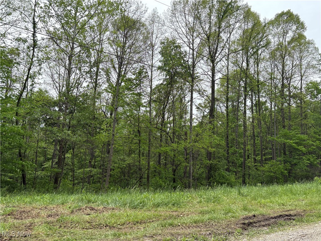 Dennis Road, Zanesville, Ohio image 4