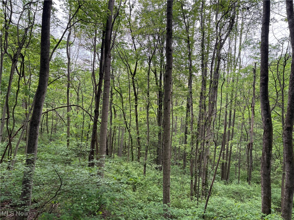 Dennis Road, Zanesville, Ohio image 6