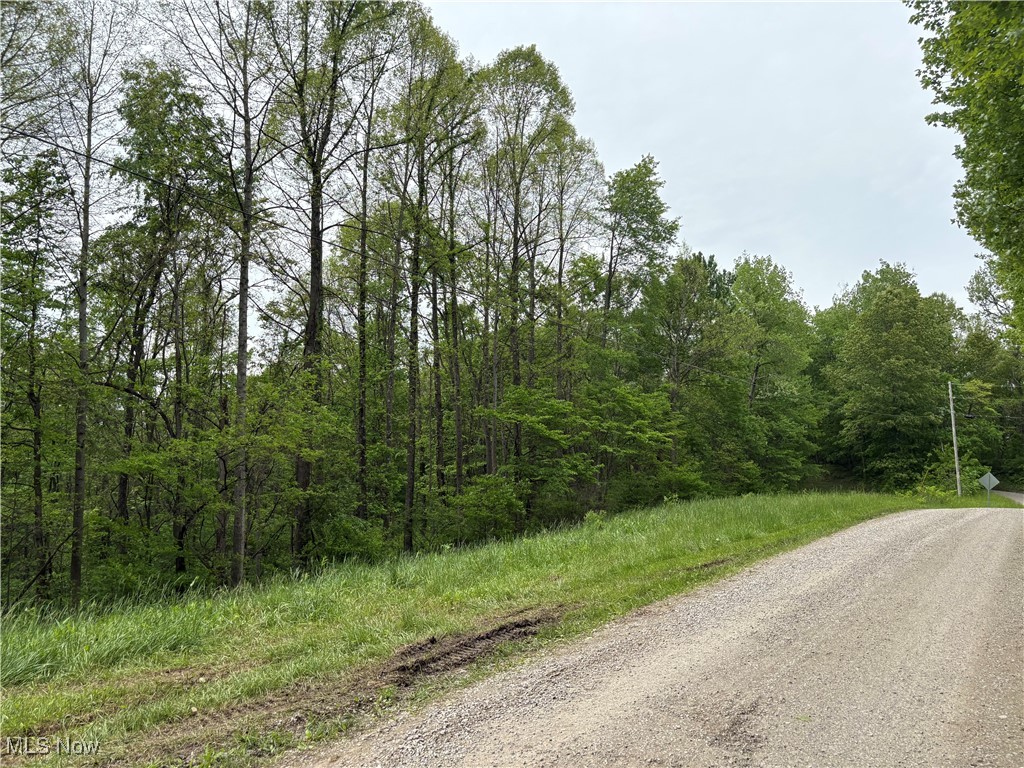 Dennis Road, Zanesville, Ohio image 3