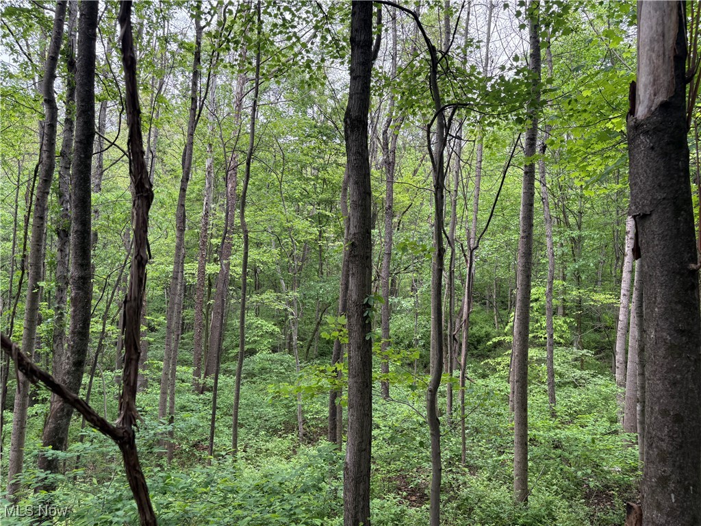 Dennis Road, Zanesville, Ohio image 7