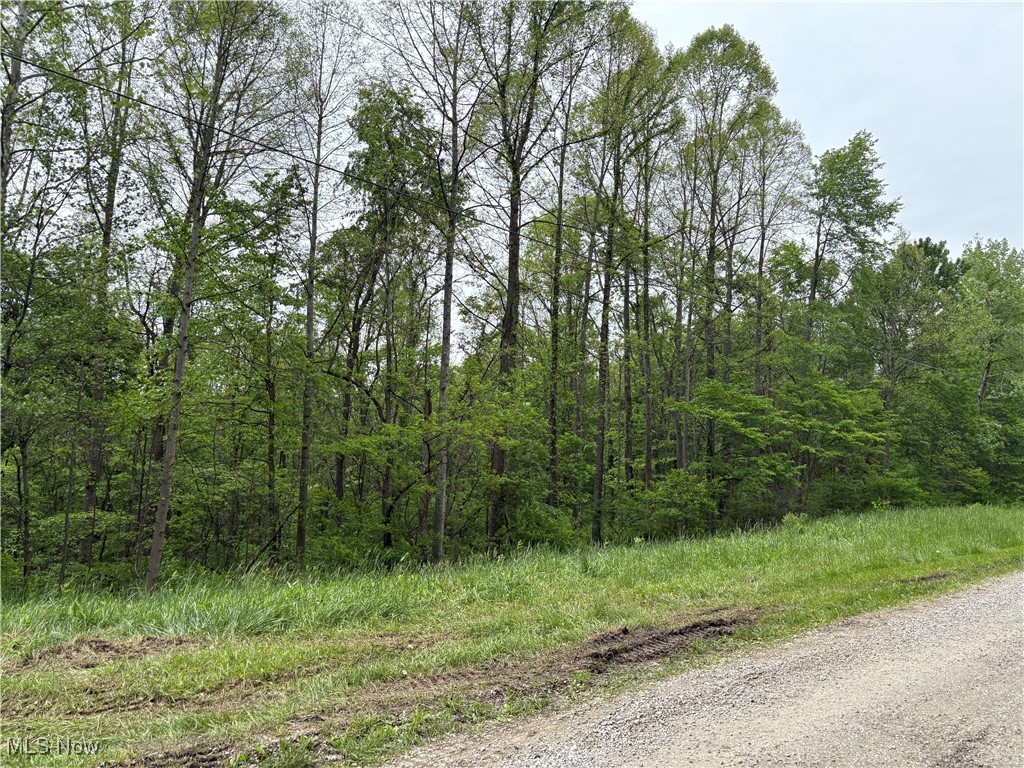 Dennis Road, Zanesville, Ohio image 2