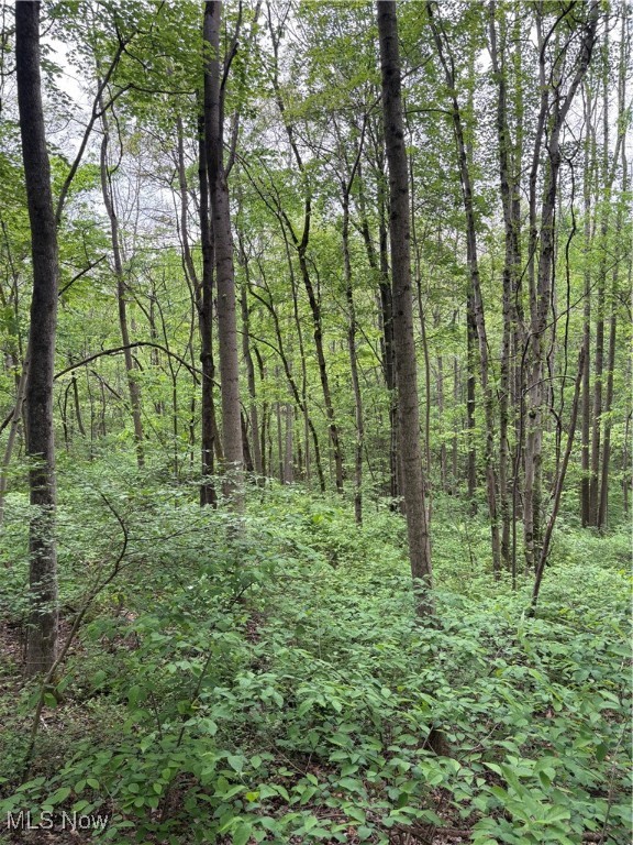 Dennis Road, Zanesville, Ohio image 5