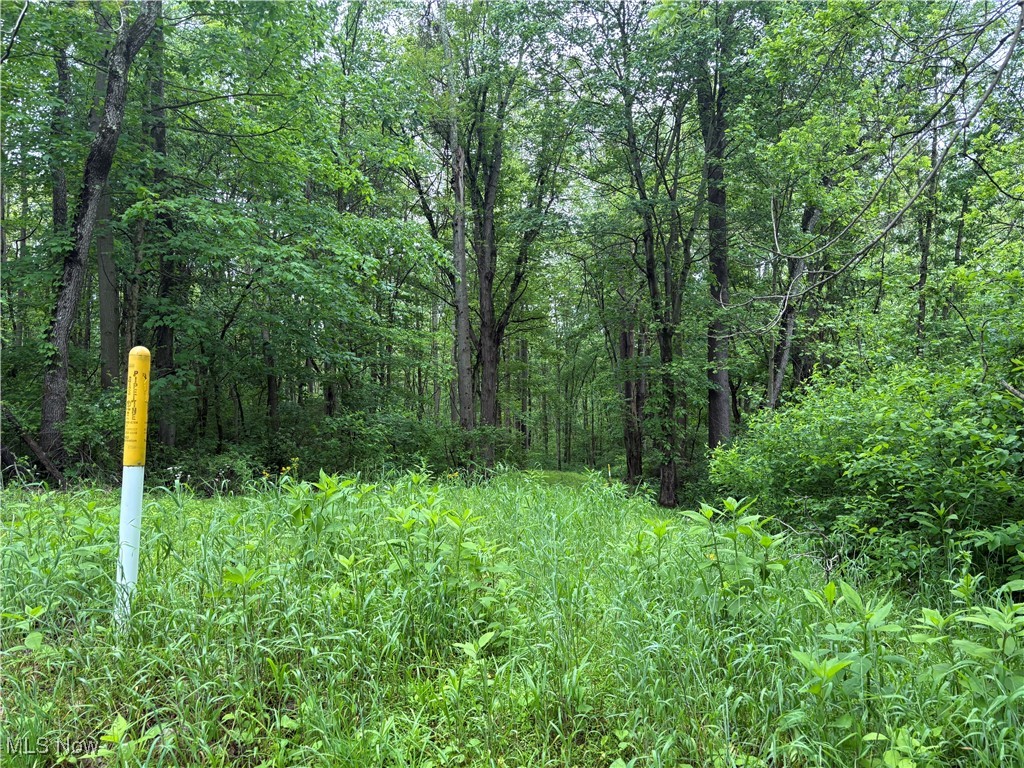 Dennis Road, Zanesville, Ohio image 9