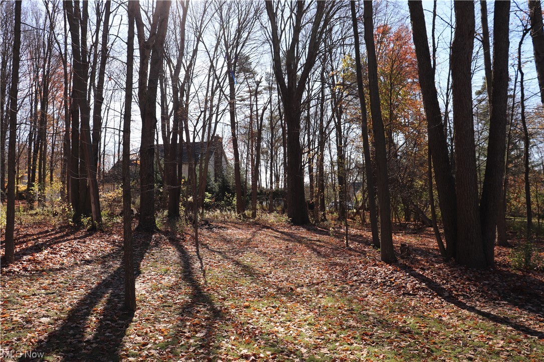 Beechwood Meadows Sub - Residential