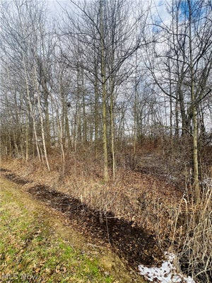 BREEZEWOOD LN, ORWELL, OH 44076 - Image a26fe847141dcdb78d2f5cfefa3f8d87/4140266303