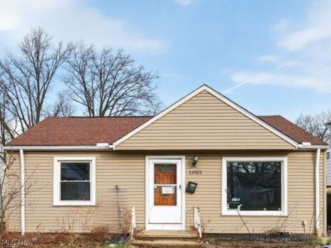 11922 Lena Avenue Cleveland OH 44135