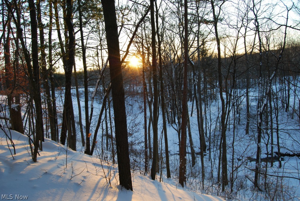 Brunswick Hills 01 - Residential