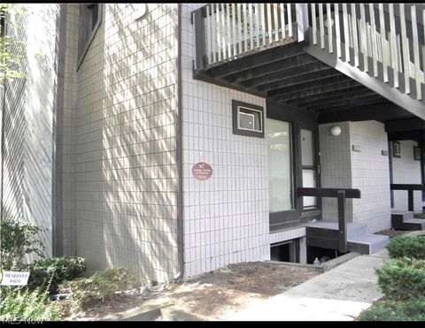 Condo For Sale - 930 Snowfall Spur Spur<br/> Akron, OH 44313