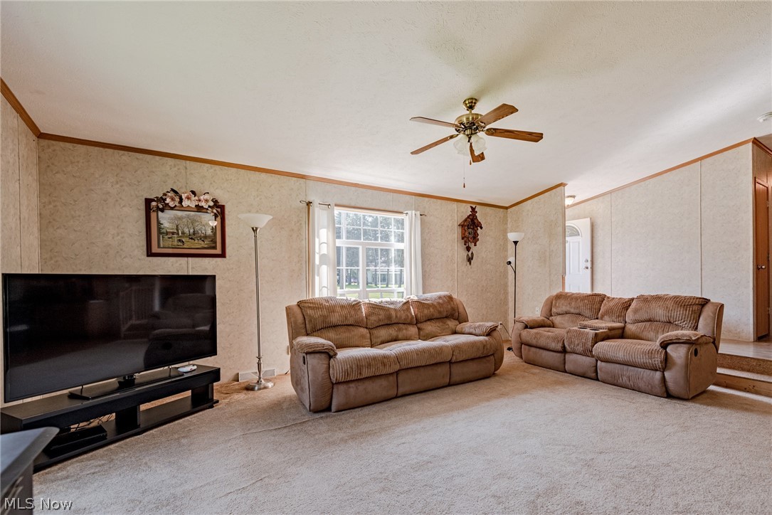 Nelson - Residential