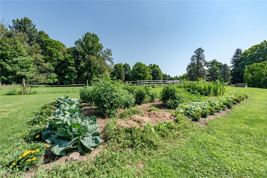 Nelson - Residential