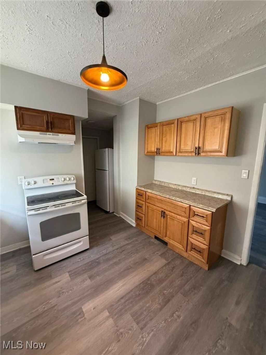 Photo of 1336 Thoreau Road, Lakewood, OH 44107 (MLS # 5174754)