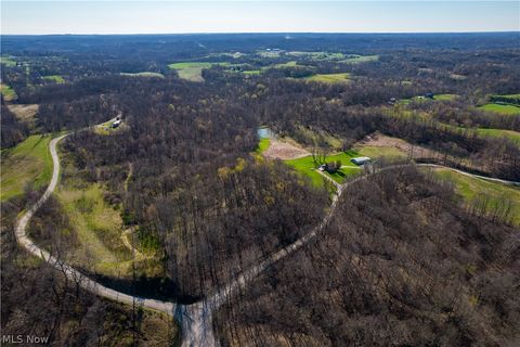 Tiny photo for Sealover Hollow Rd Road, Philo, OH 43771 (MLS # 5203242)