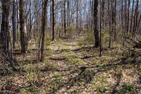 Tiny photo for Sealover Hollow Rd Road, Philo, OH 43771 (MLS # 5203242)