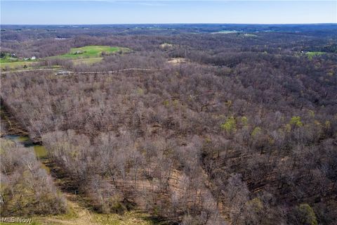 Tiny photo for Sealover Hollow Rd Road, Philo, OH 43771 (MLS # 5203242)