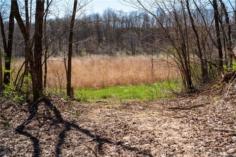 Tiny photo for Sealover Hollow Rd Road, Philo, OH 43771 (MLS # 5203242)