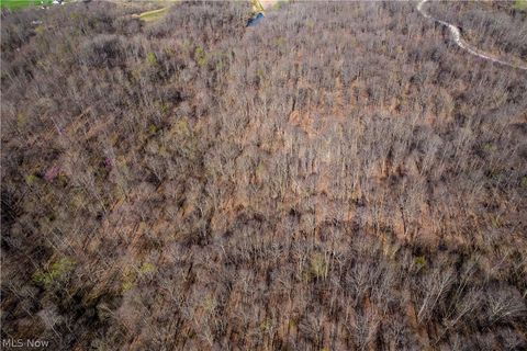 Tiny photo for Sealover Hollow Rd Road, Philo, OH 43771 (MLS # 5203242)