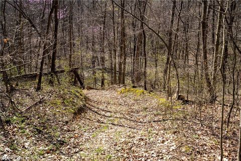 Tiny photo for Sealover Hollow Rd Road, Philo, OH 43771 (MLS # 5203242)