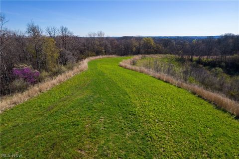 Tiny photo for Sealover Hollow Rd Road, Philo, OH 43771 (MLS # 5203242)