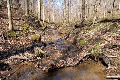 Tiny photo for Sealover Hollow Rd Road, Philo, OH 43771 (MLS # 5203242)