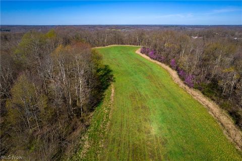 Photo of Sealover Hollow Rd Road, Philo, OH 43771 (MLS # 5203242)