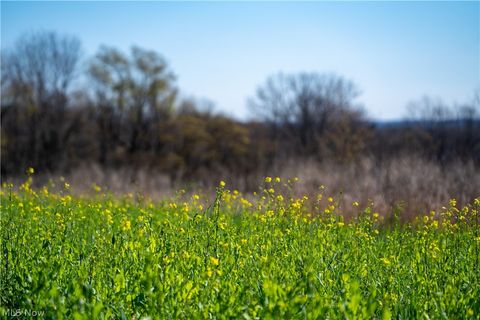 Tiny photo for Sealover Hollow Rd Road, Philo, OH 43771 (MLS # 5203242)