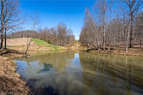 Tiny photo for Sealover Hollow Rd Road, Philo, OH 43771 (MLS # 5203242)