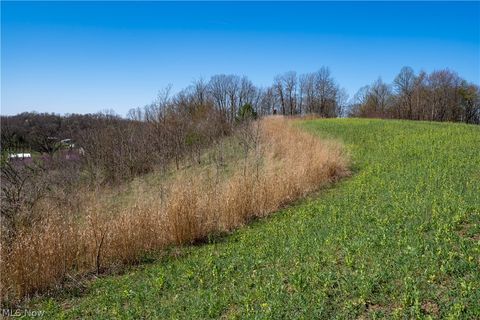 Tiny photo for Sealover Hollow Rd Road, Philo, OH 43771 (MLS # 5203242)