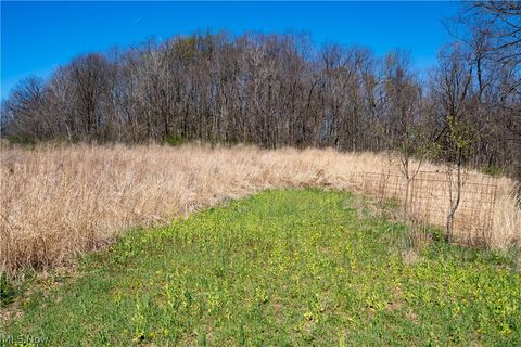 Tiny photo for Sealover Hollow Rd Road, Philo, OH 43771 (MLS # 5203242)