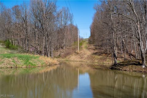 Tiny photo for Sealover Hollow Rd Road, Philo, OH 43771 (MLS # 5203242)