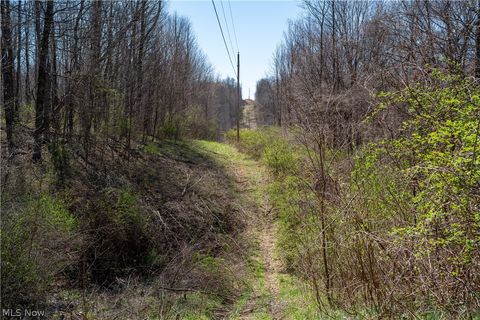 Tiny photo for Sealover Hollow Rd Road, Philo, OH 43771 (MLS # 5203242)