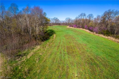 Tiny photo for Sealover Hollow Rd Road, Philo, OH 43771 (MLS # 5203242)