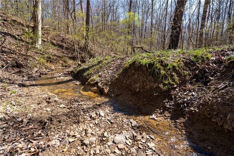 Tiny photo for Sealover Hollow Rd Road, Philo, OH 43771 (MLS # 5203242)