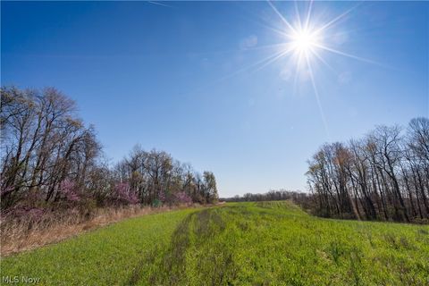 Tiny photo for Sealover Hollow Rd Road, Philo, OH 43771 (MLS # 5203242)
