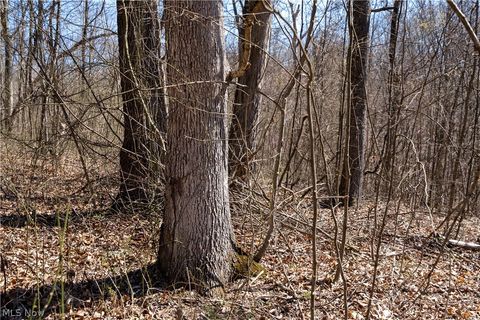 Tiny photo for Sealover Hollow Rd Road, Philo, OH 43771 (MLS # 5203242)
