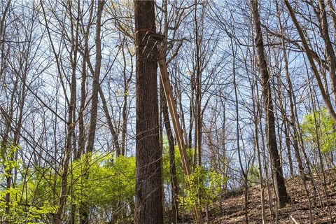 Tiny photo for Sealover Hollow Rd Road, Philo, OH 43771 (MLS # 5203242)