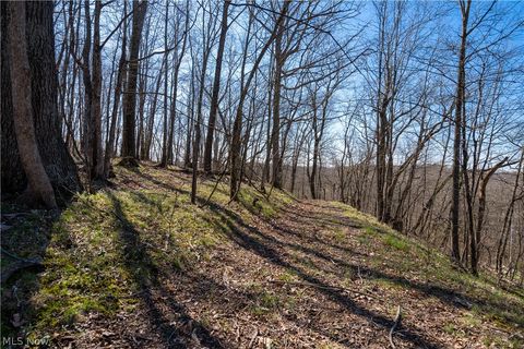 Tiny photo for Sealover Hollow Rd Road, Philo, OH 43771 (MLS # 5203242)