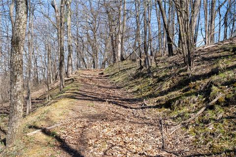 Tiny photo for Sealover Hollow Rd Road, Philo, OH 43771 (MLS # 5203242)