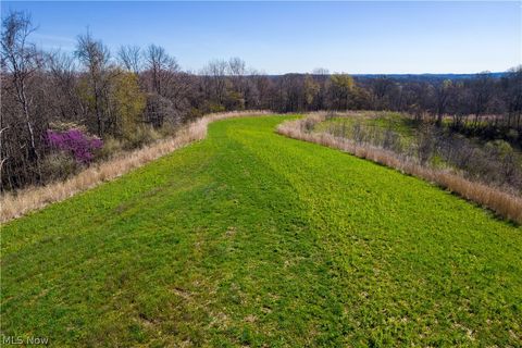 Tiny photo for Sealover Hollow Rd Road, Philo, OH 43771 (MLS # 5203242)