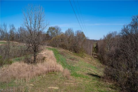 Tiny photo for Sealover Hollow Rd Road, Philo, OH 43771 (MLS # 5203242)