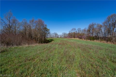 Tiny photo for Sealover Hollow Rd Road, Philo, OH 43771 (MLS # 5203242)