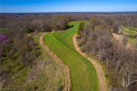 Tiny photo for Sealover Hollow Rd Road, Philo, OH 43771 (MLS # 5203242)