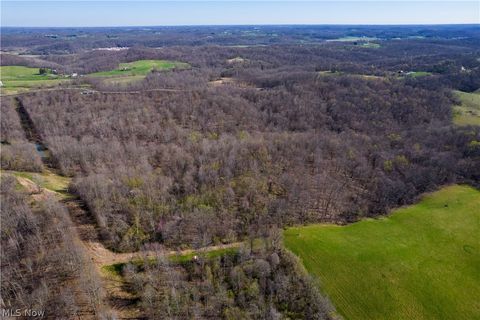 Tiny photo for Sealover Hollow Rd Road, Philo, OH 43771 (MLS # 5203242)