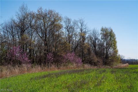 Tiny photo for Sealover Hollow Rd Road, Philo, OH 43771 (MLS # 5203242)